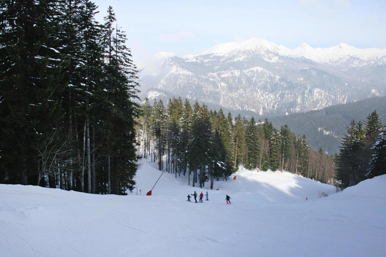 Holiday Resort Altaussee, Lichtersberg Экстерьер фото
